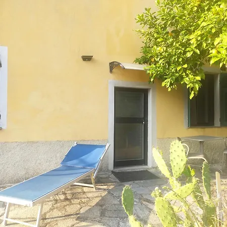 Dei Limoni *